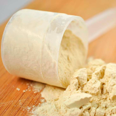 Whey Protein Concentrate 500gr Home